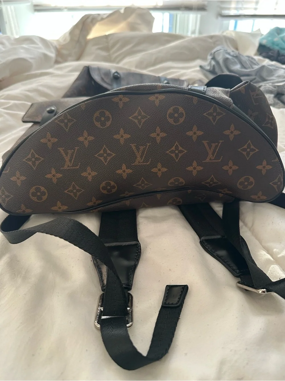 Louis Vuitton Christopher PM Monogram Macassar Backpack (2016)
